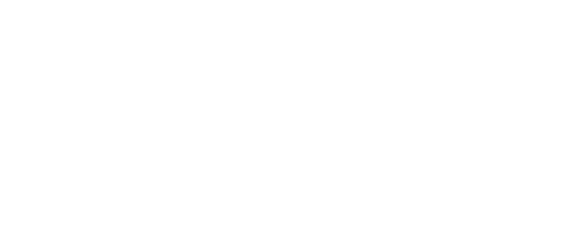 Jaume Turon Auladell